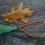 Thumbnail: Hand knotted mala beads and autumn leaf