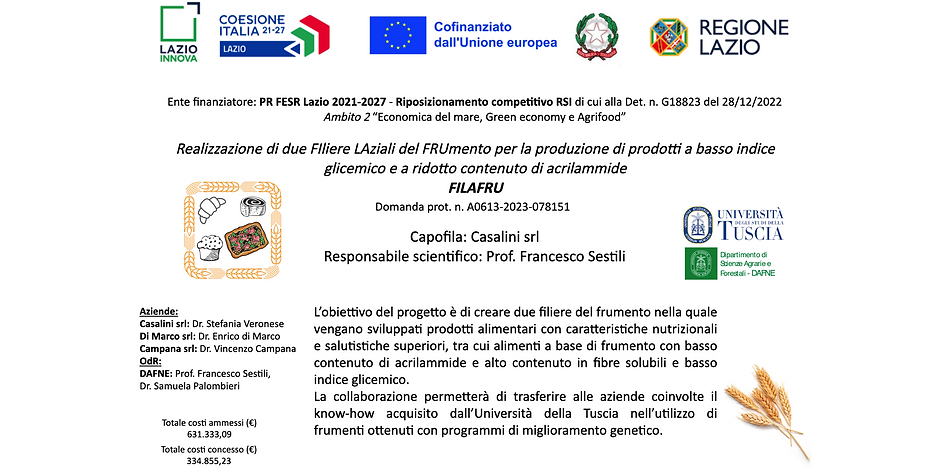 manifesto 2_edited_edited.png