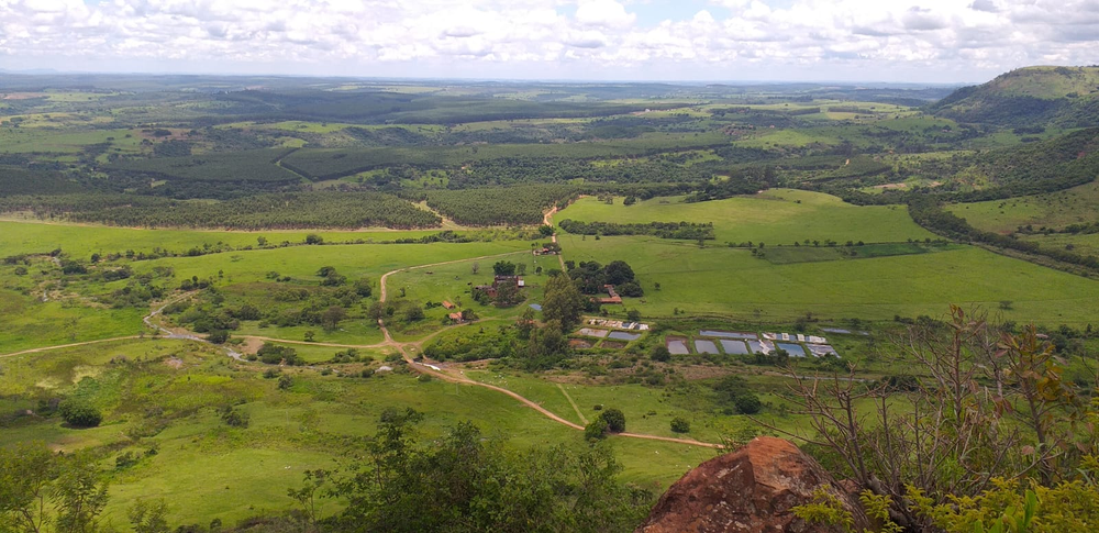 Ricarddo Barros Guerreiro
