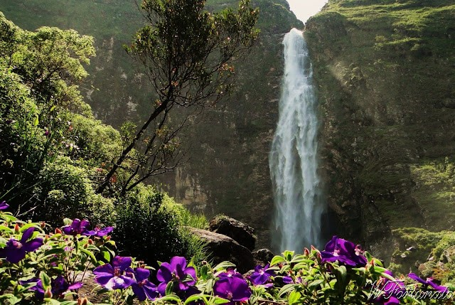 Ricarddo Barros Guerreiro