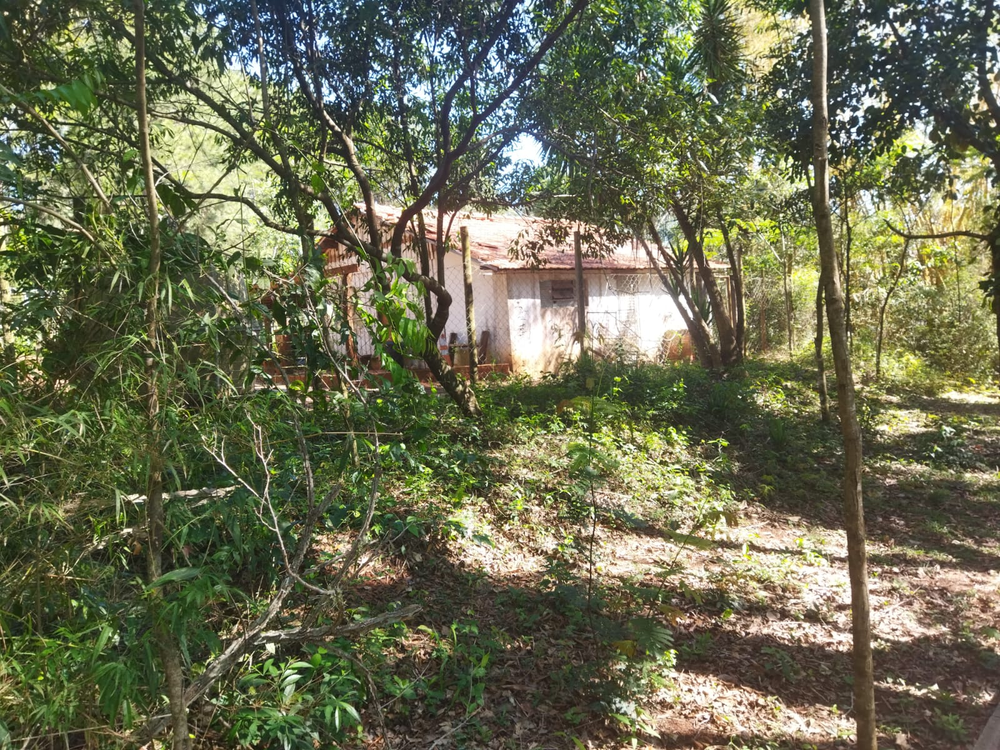 Ricarddo Barros Guerreiro