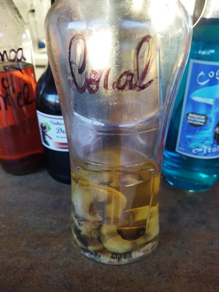 Ricarddo Barros Guerreiro