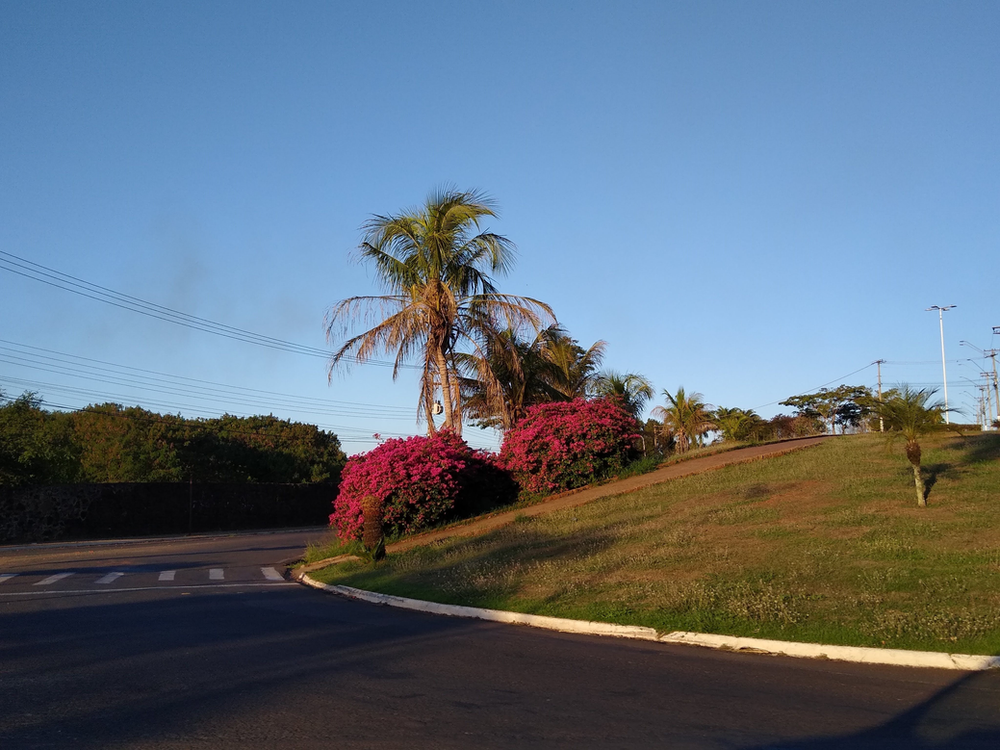 Ricarddo Barros Guerreiro