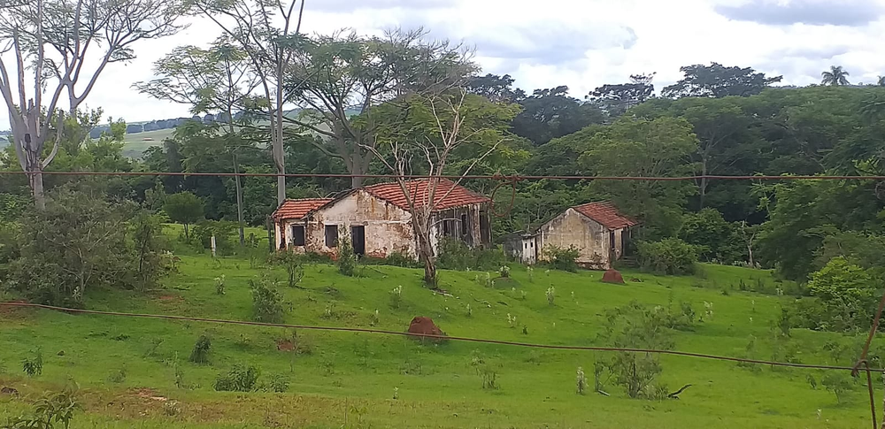 Ricarddo Barros Guerreiro