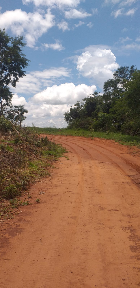 Ricarddo Barros Guerreiro