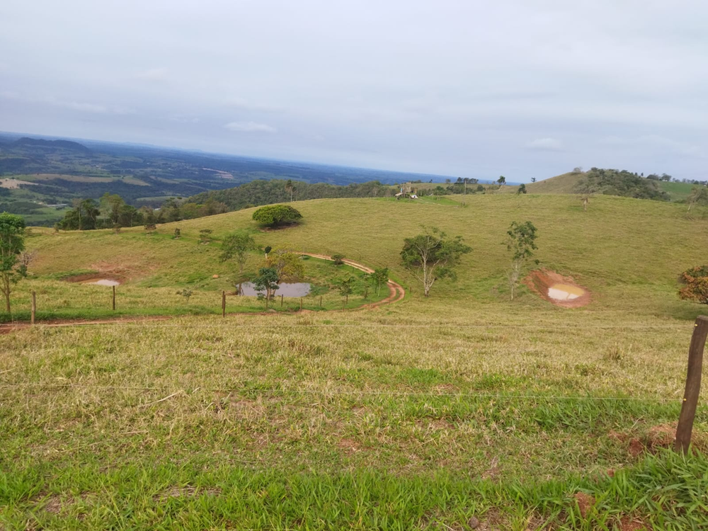 Ricarddo Barros Guerreiro