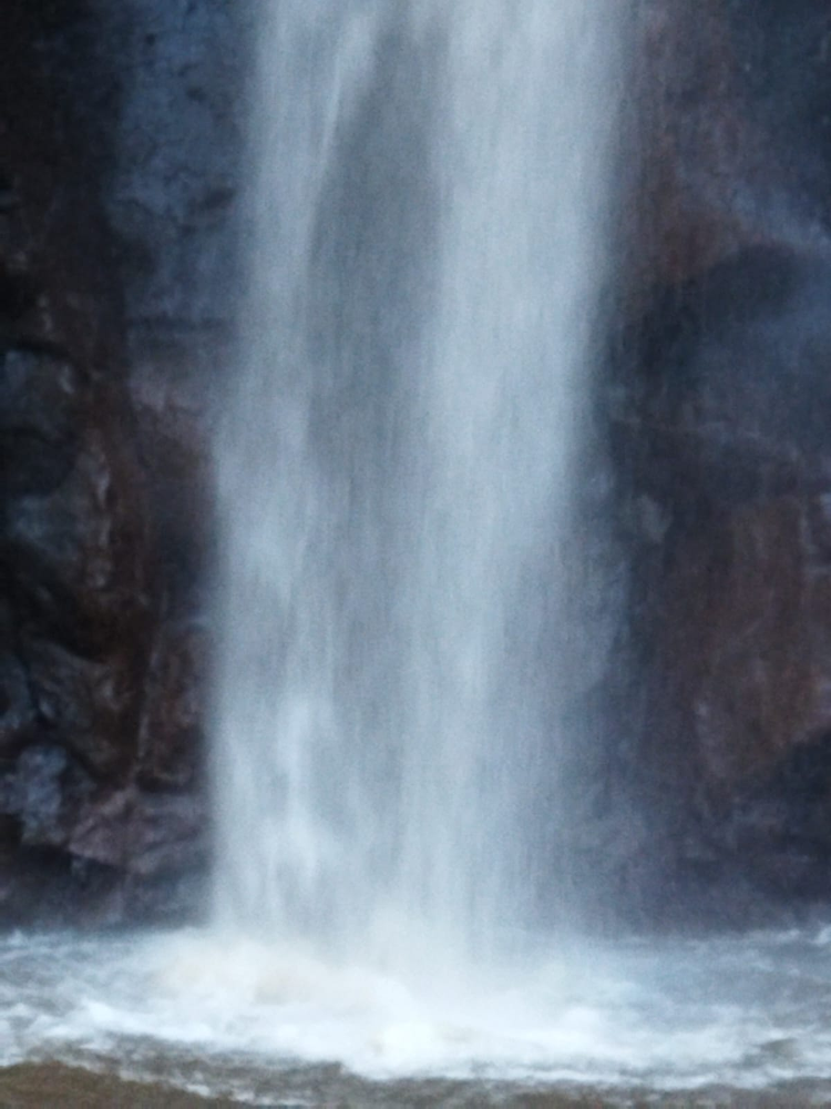 Ricarddo Barros Guerreiro