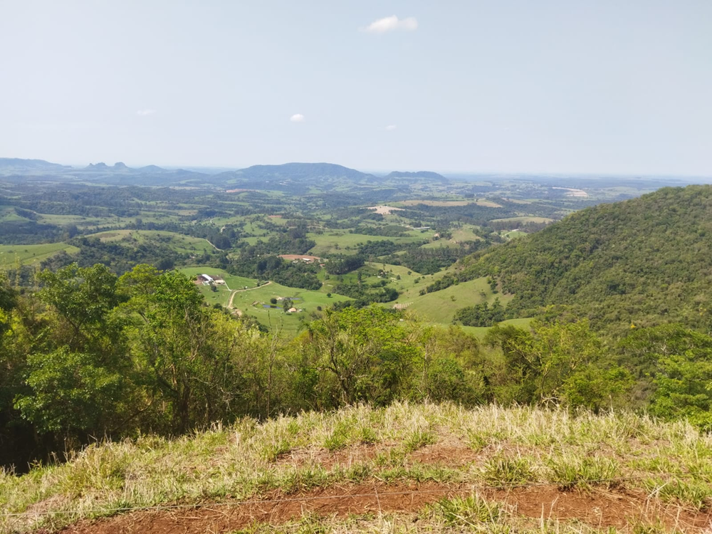 Ricarddo Barros Guerreiro