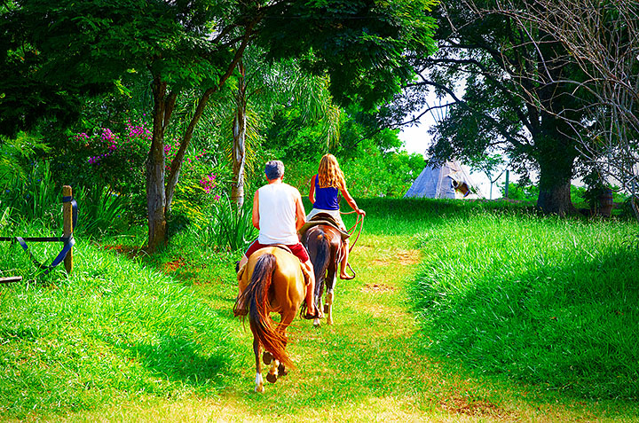 Ricarddo Barros Guerreiro