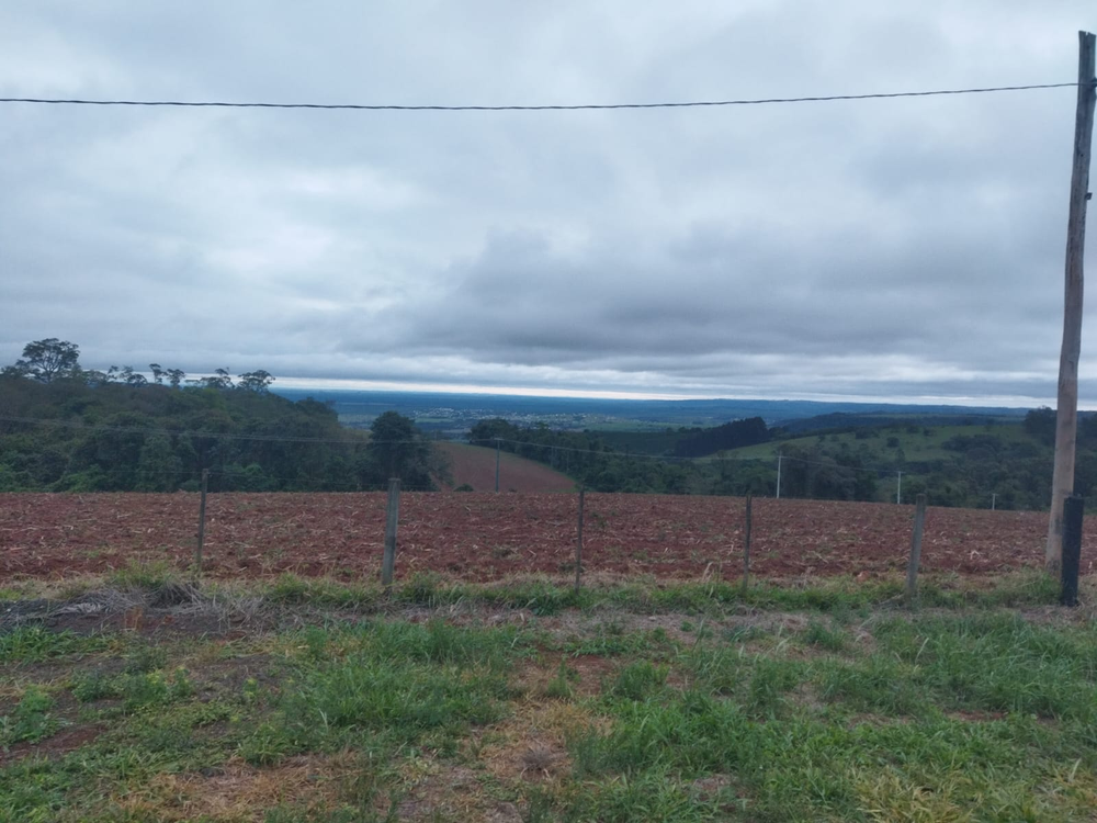 Ricarddo Barros Guerreiro