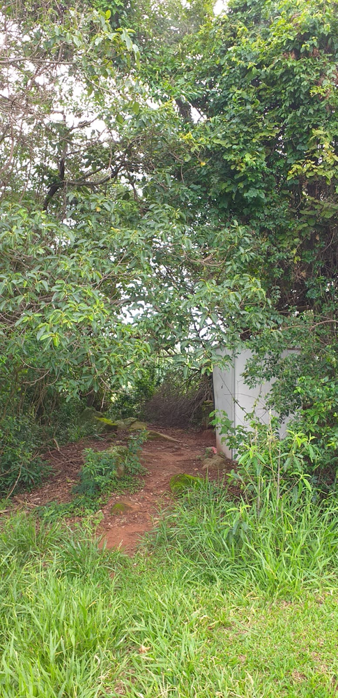 Ricarddo Barros Guerreiro