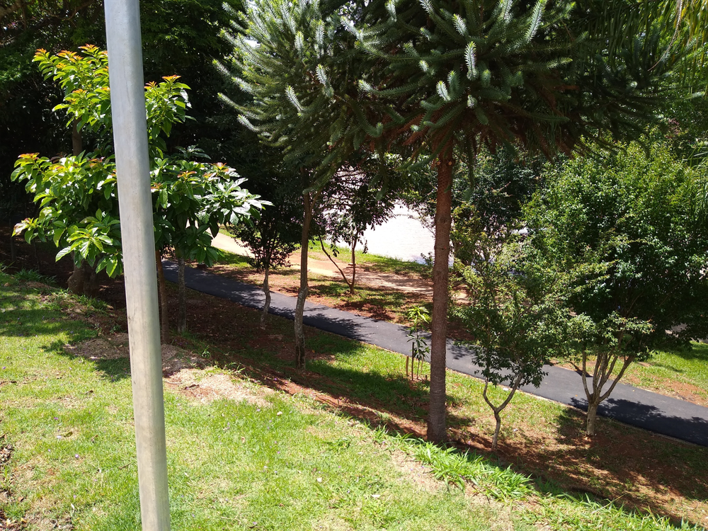 Ricarddo Barros Guerreiro