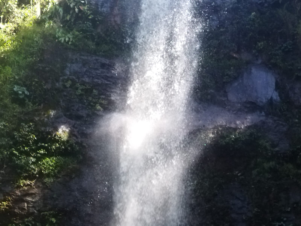 Ricarddo Barros Guerreiro