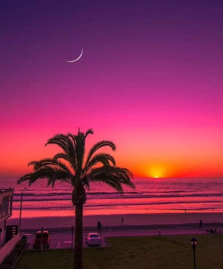 Ricarddo Barros Guerreiro