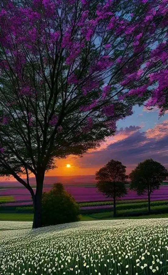 Ricarddo Barros Guerreiro