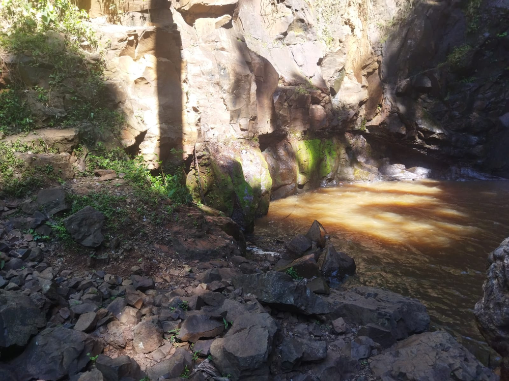 Ricarddo Barros Guerreiro