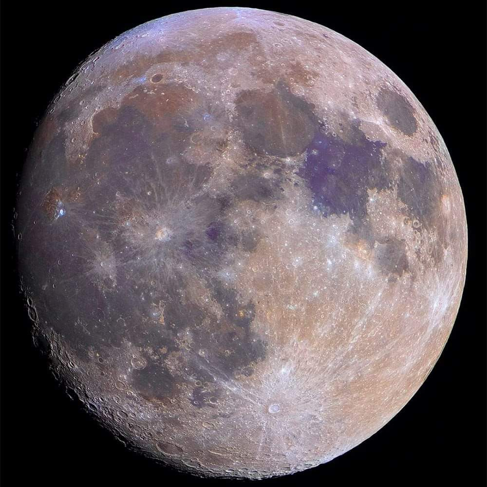 Ricarddo Barros Guerreiro