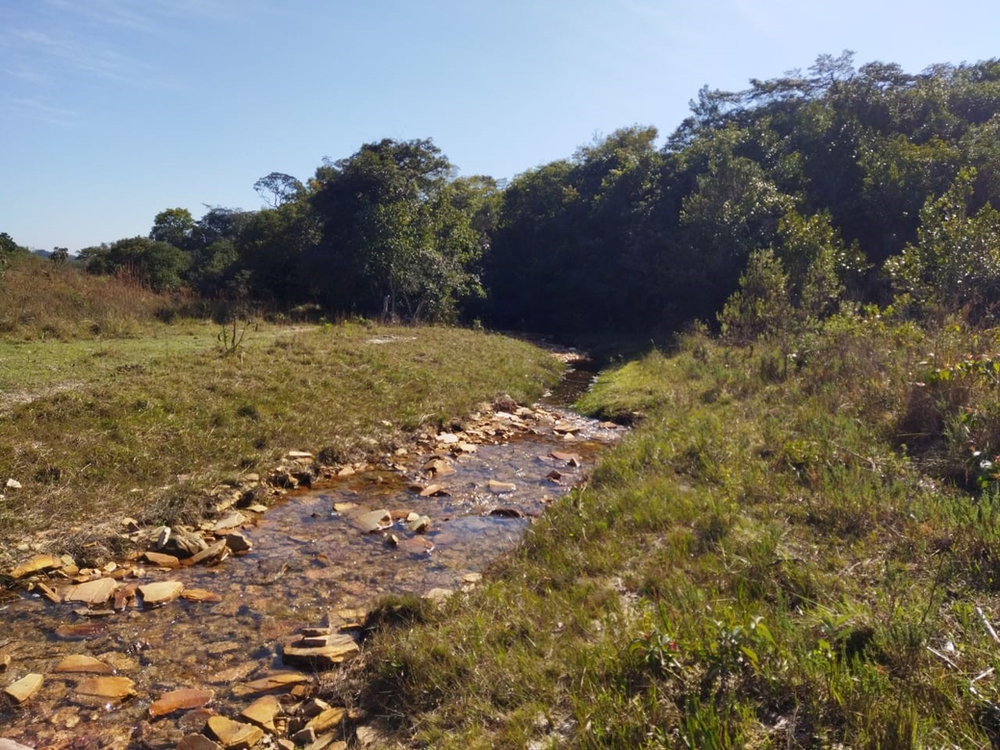 Ricarddo Barros Guerreiro