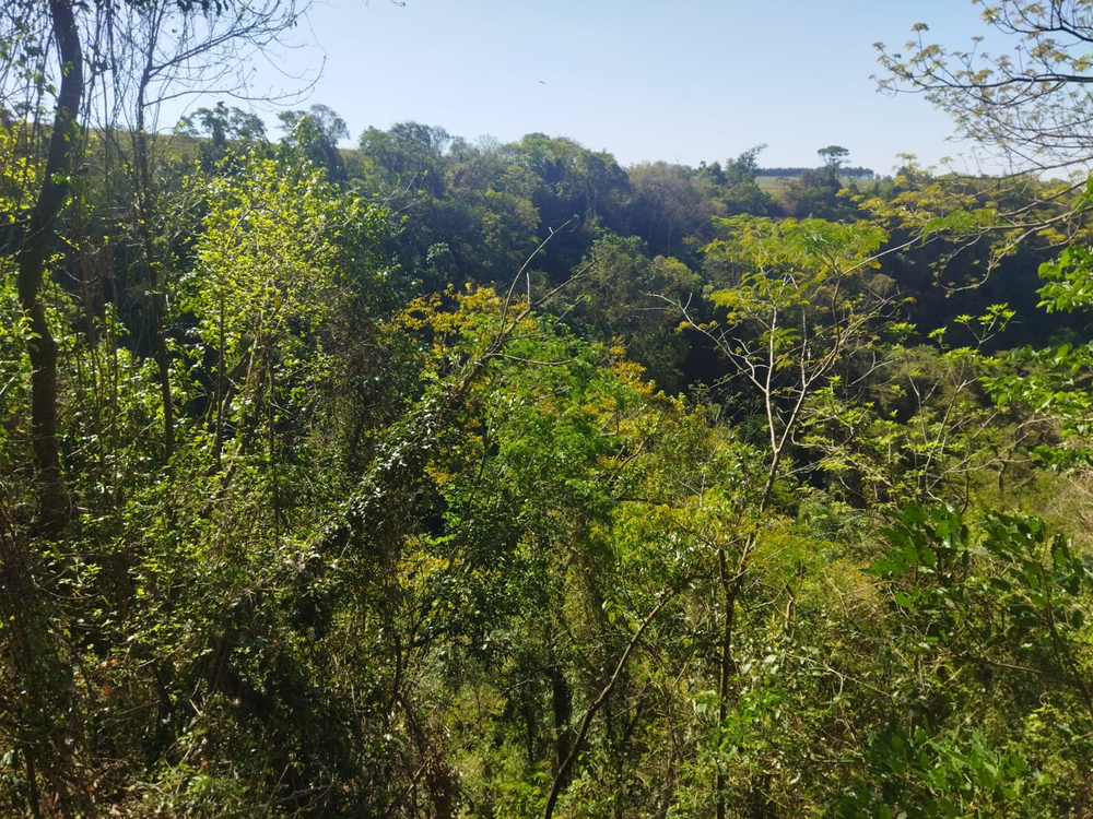 Ricarddo Barros Guerreiro