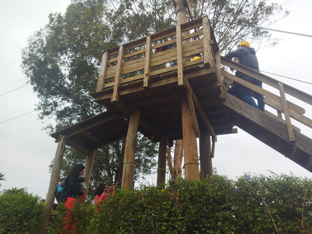 Ricarddo Barros Guerreiro