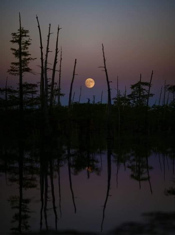 Ricarddo Barros Guerreiro