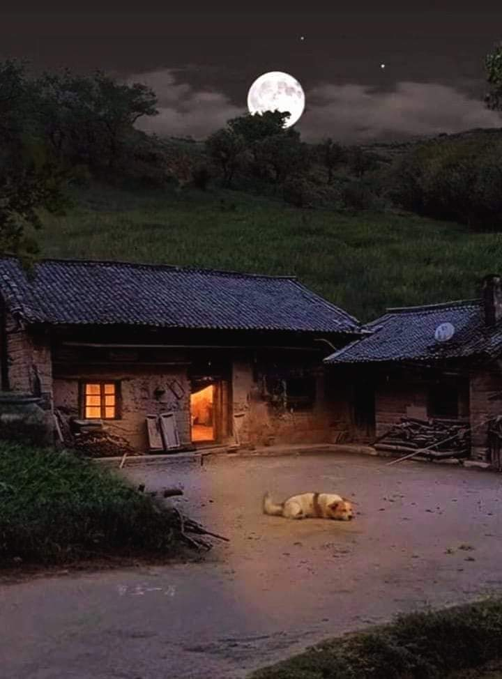 Ricarddo Barros Guerreiro