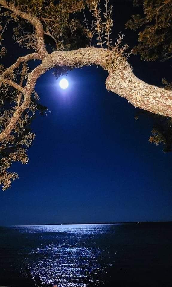 Ricarddo Barros Guerreiro