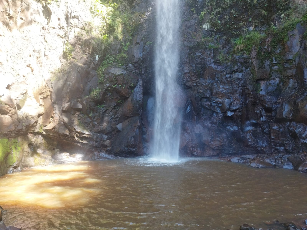 Ricarddo Barros Guerreiro