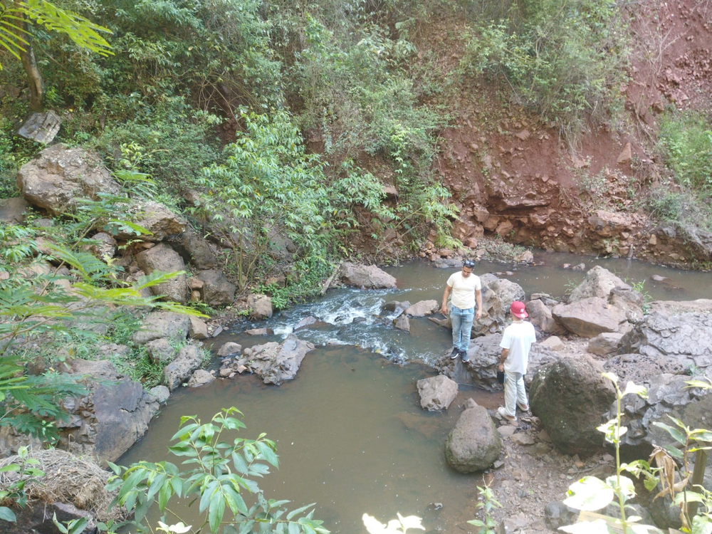 Ricarddo Barros Guerreiro
