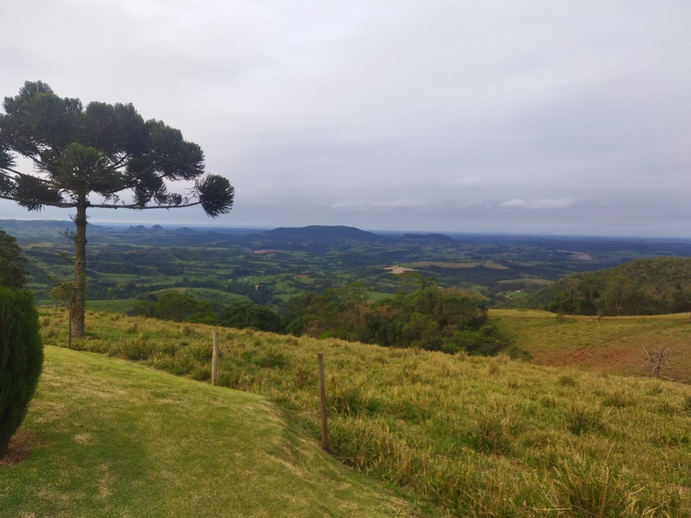 Ricarddo Barros Guerreiro