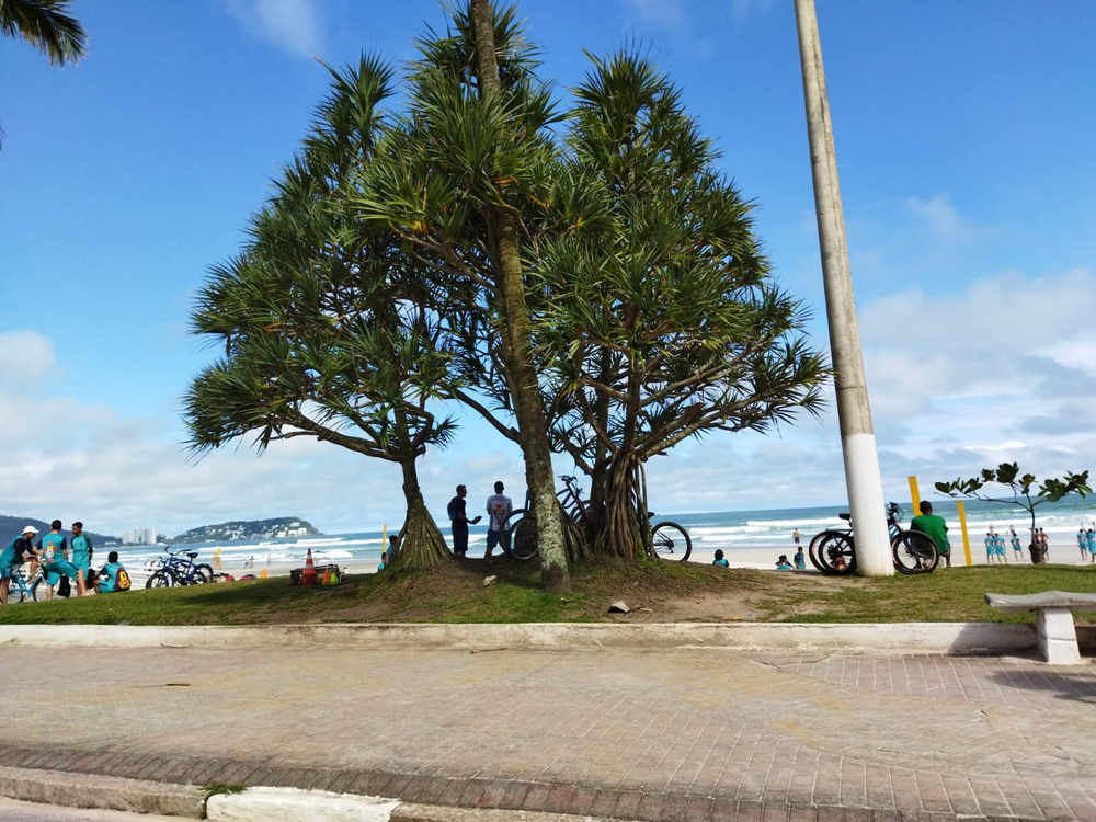 Ricarddo Barros Guerreiro