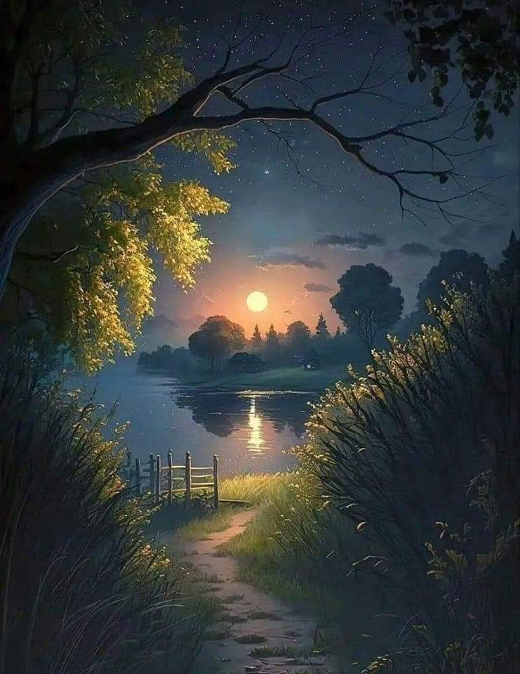 Ricarddo Barros Guerreiro