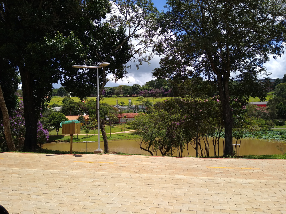 Ricarddo Barros Guerreiro