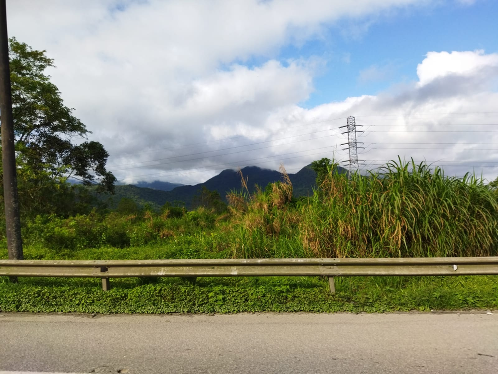 Ricarddo Barros Guerreiro