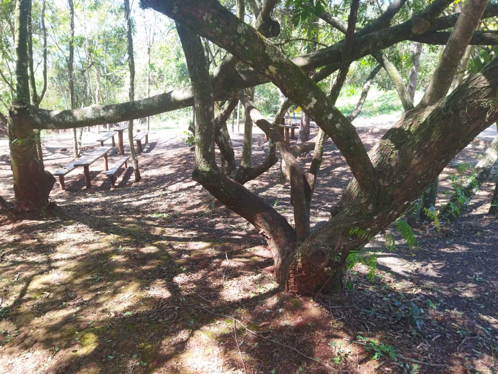 Ricarddo Barros Guerreiro