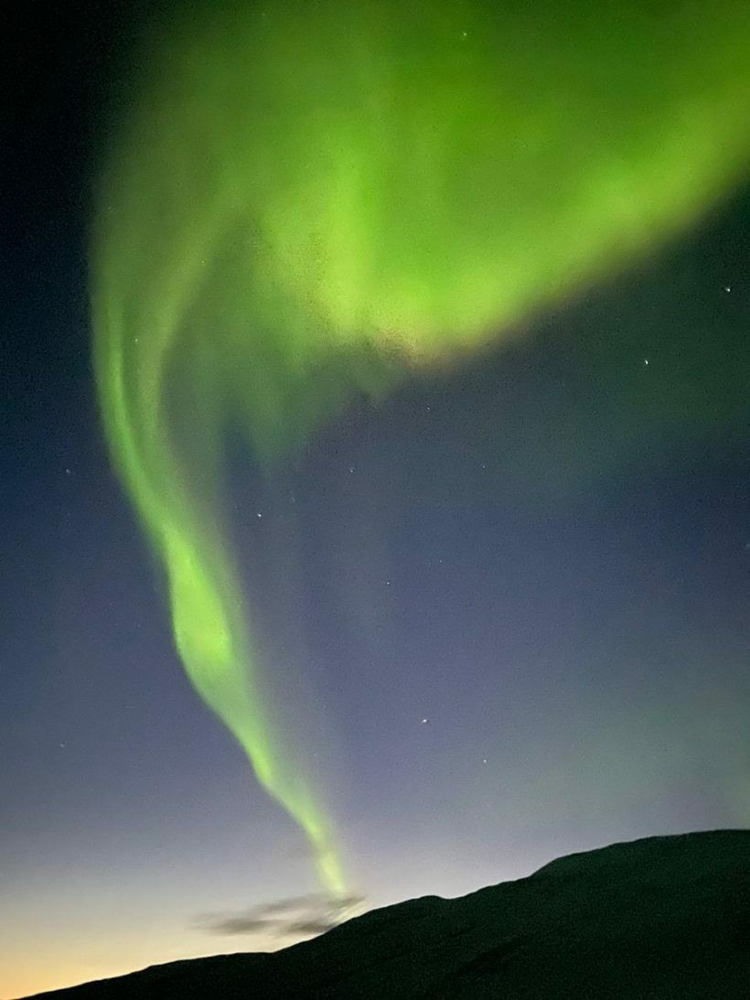 Ricarddo Barros Guerreiro