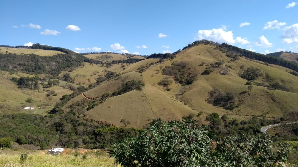 Ricarddo Barros Guerreiro