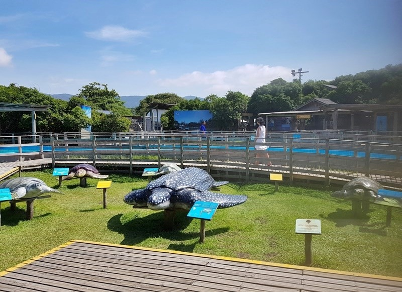 Ricarddo Barros Guerreiro