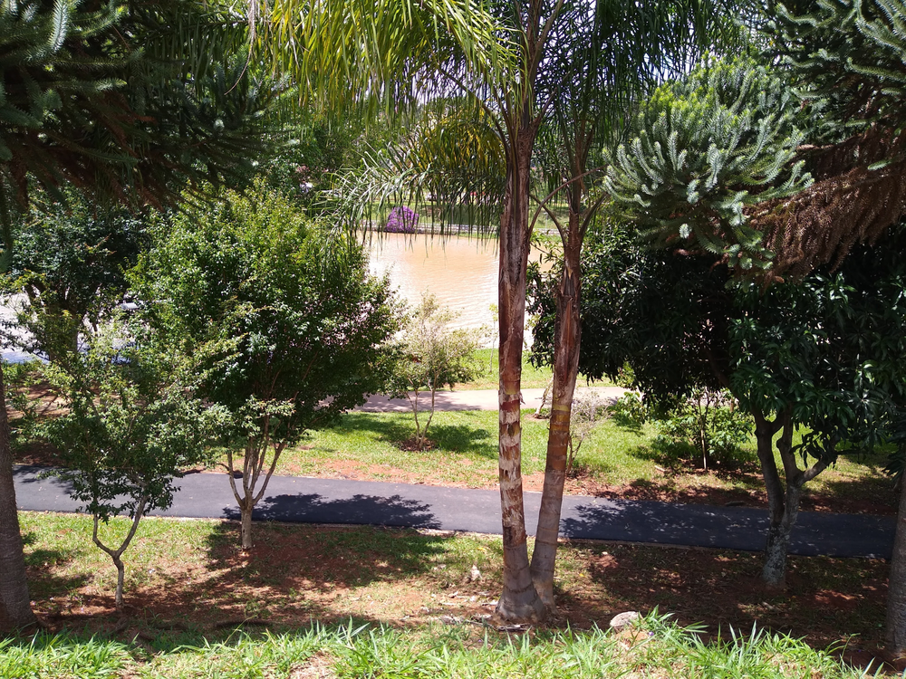 Ricarddo Barros Guerreiro