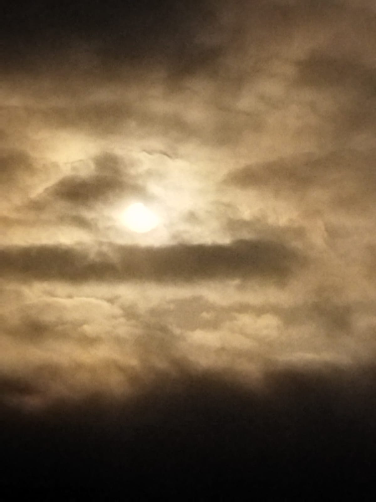 Ricarddo Barros Guerreiro