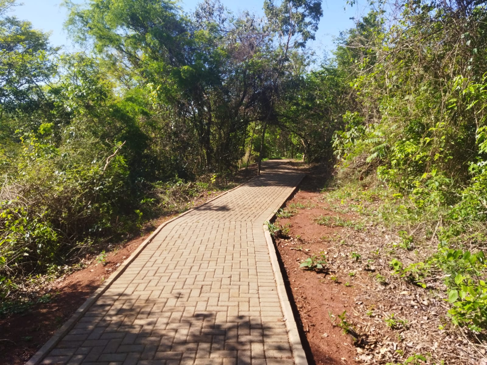 Ricarddo Barros Guerreiro