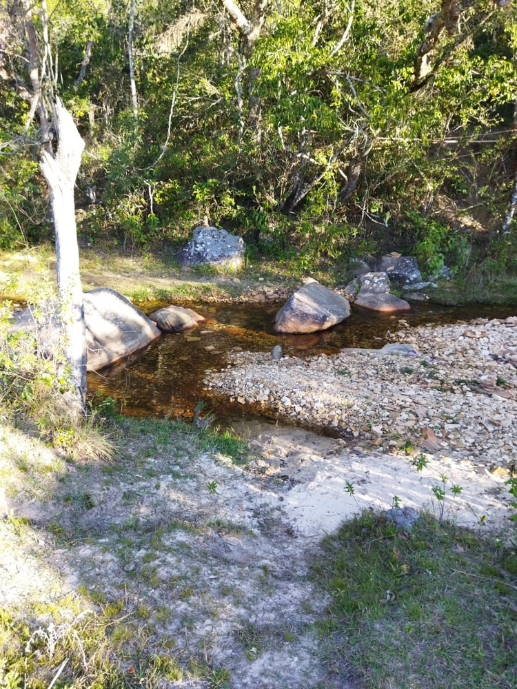 Ricarddo Barros Guerreiro