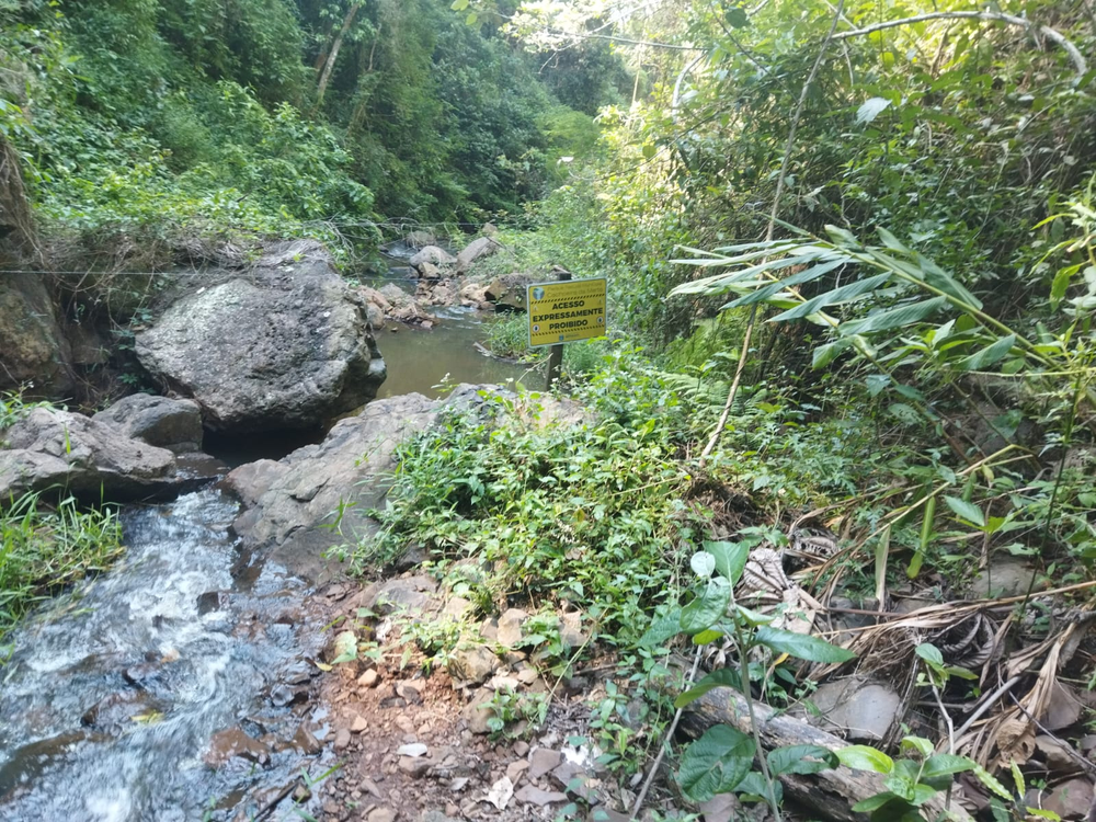 Ricarddo Barros Guerreiro