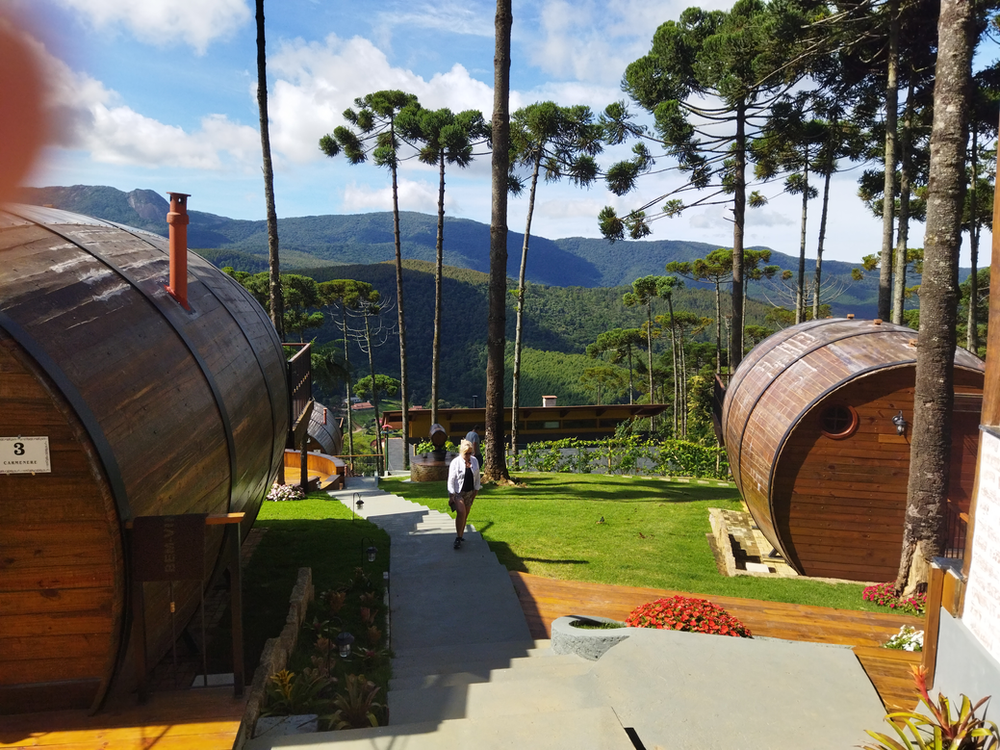 Ricarddo Barros Guerreiro