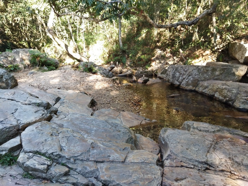 Ricarddo Barros Guerreiro