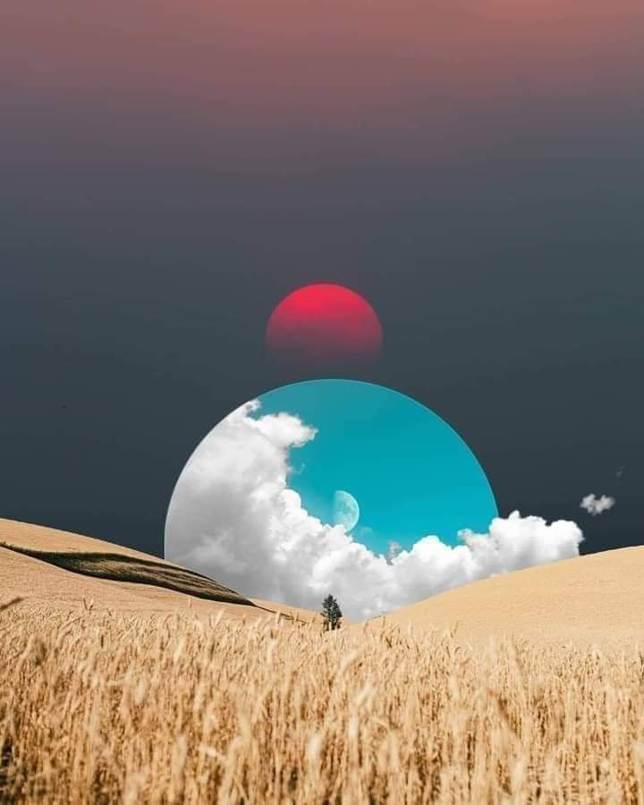 Ricarddo Barros Guerreiro