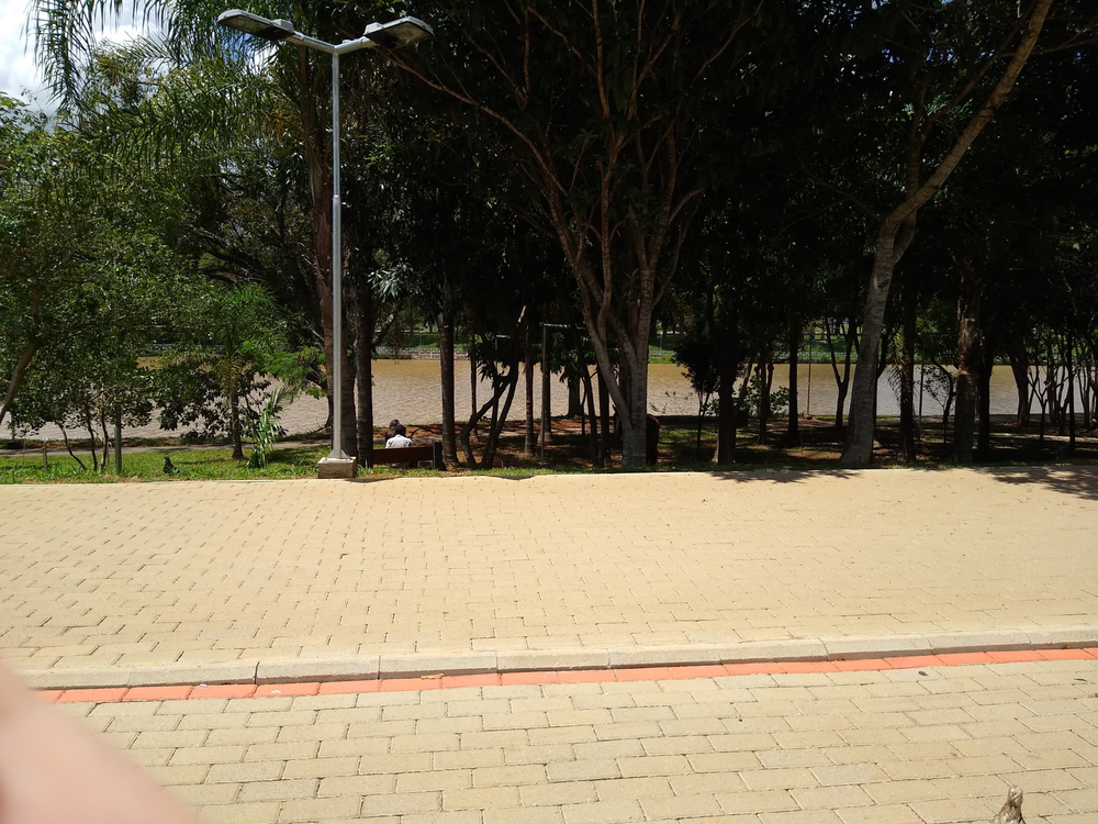 Ricarddo Barros Guerreiro