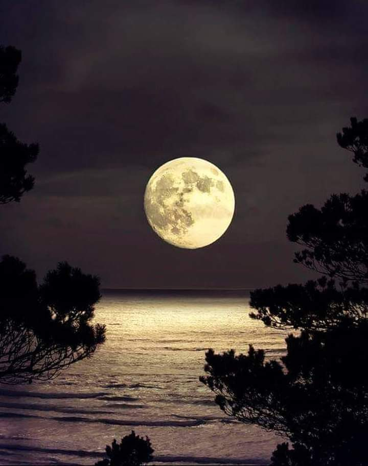 Ricarddo Barros Guerreiro