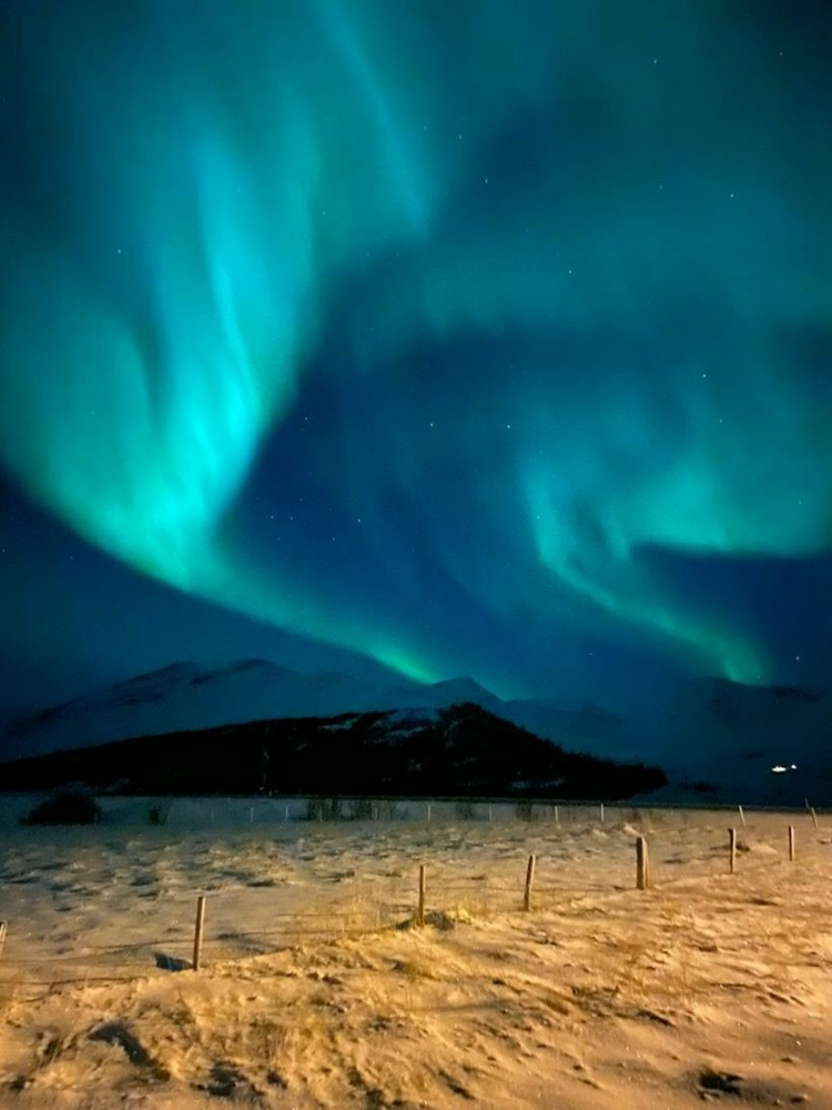 Ricarddo Barros Guerreiro