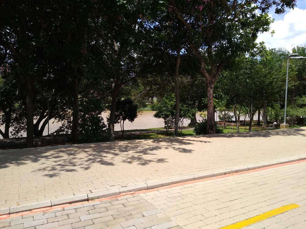 Ricarddo Barros Guerreiro